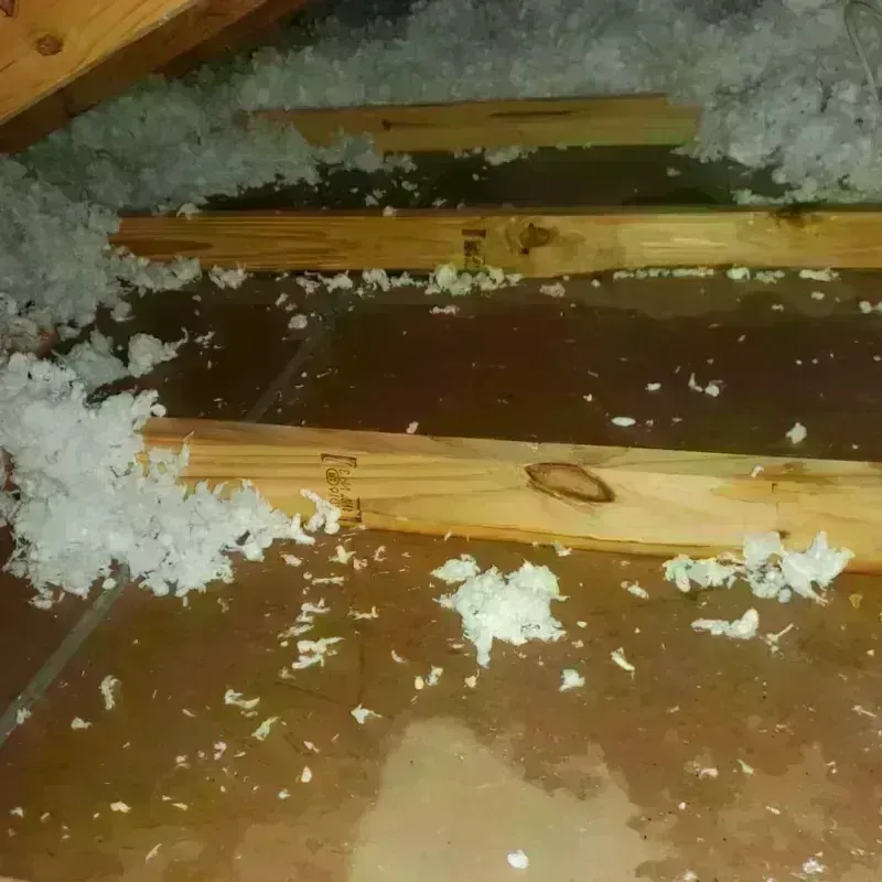 Attic Water Damage in Wellsville, UT